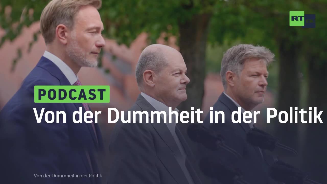 Von der Dummheit in der Politik