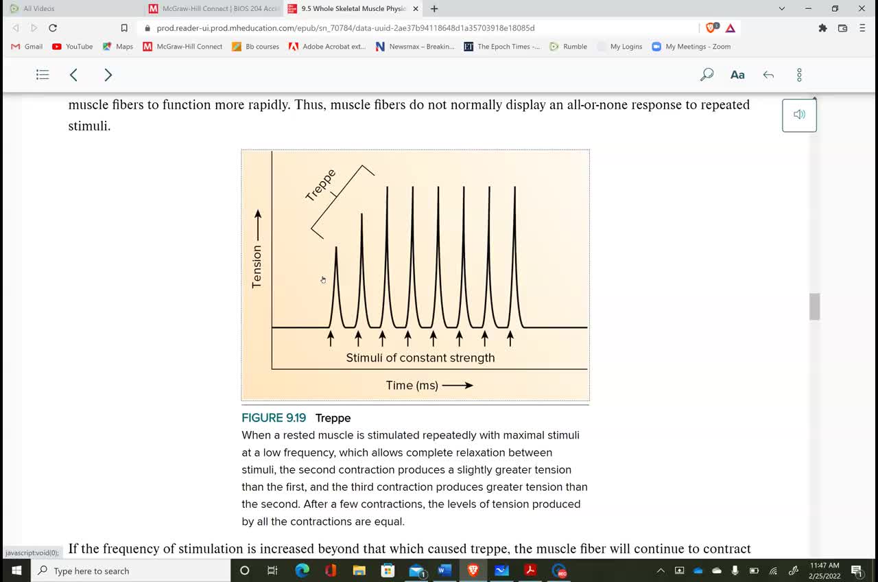 Anatomy & Physiology 1 - Ch. 9 Muscle Twitch part 3 of 4