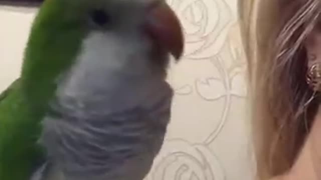 Bird kissing Owner