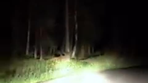 Scary Drive through Hunted Road