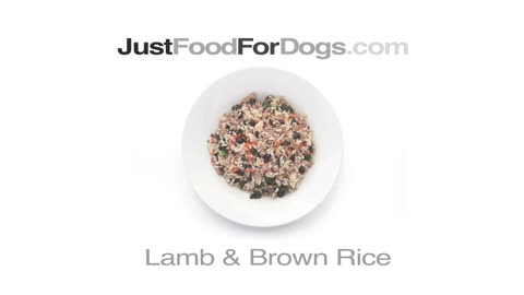 Can dogs have rice?