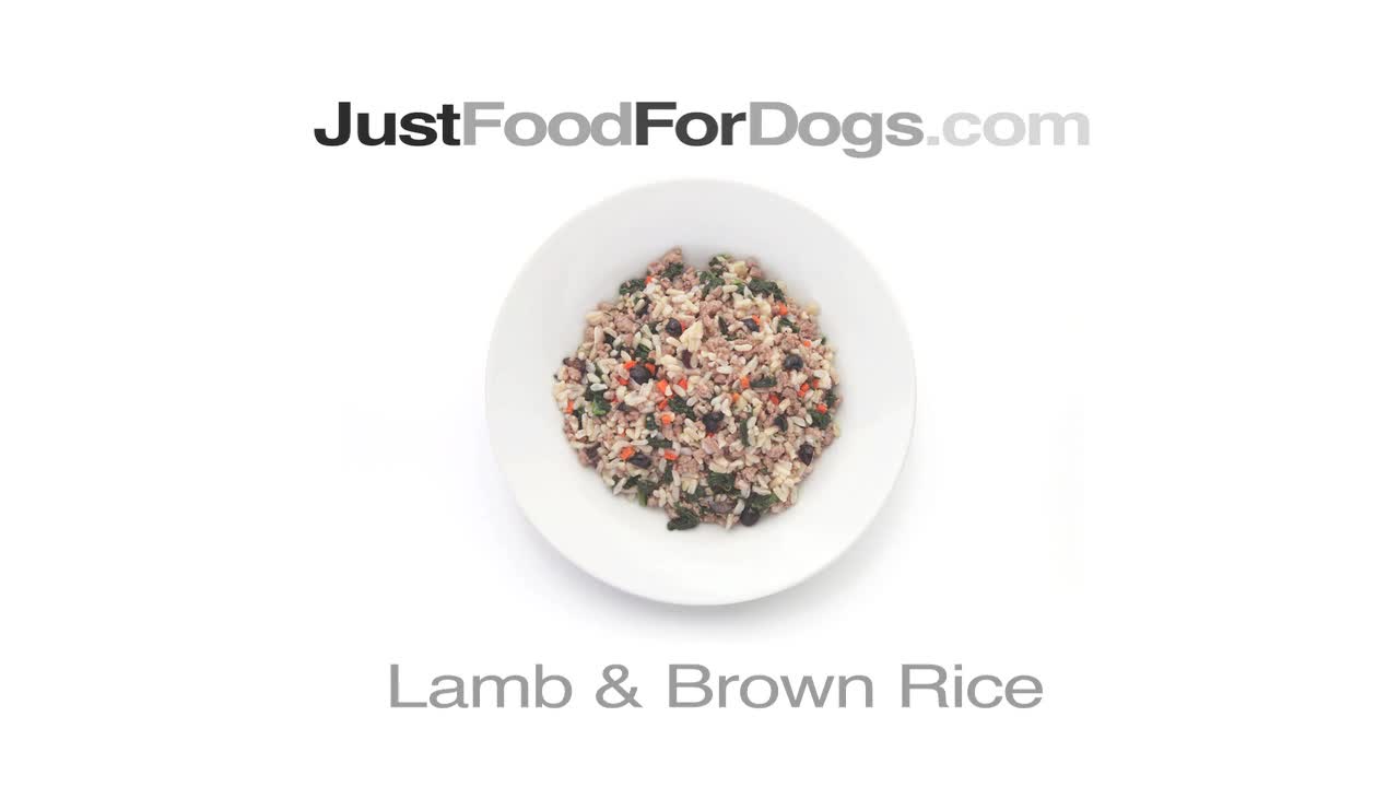 Can dogs have rice?