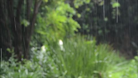 Rain sound for Sleeping