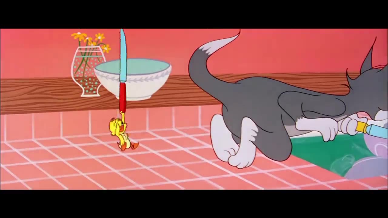 Tom and Jerry cartoon