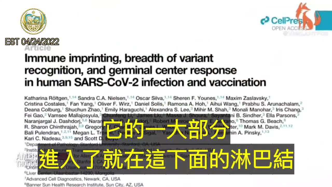 疫苗注入身體後不斷產生刺突蛋白長達60天之久
