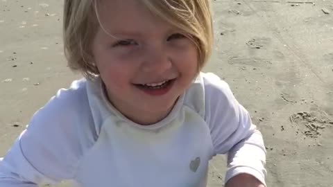 Kite at the beach