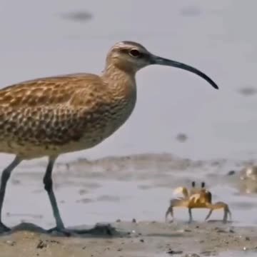 Don’t Tread On Me 😂🤣😂