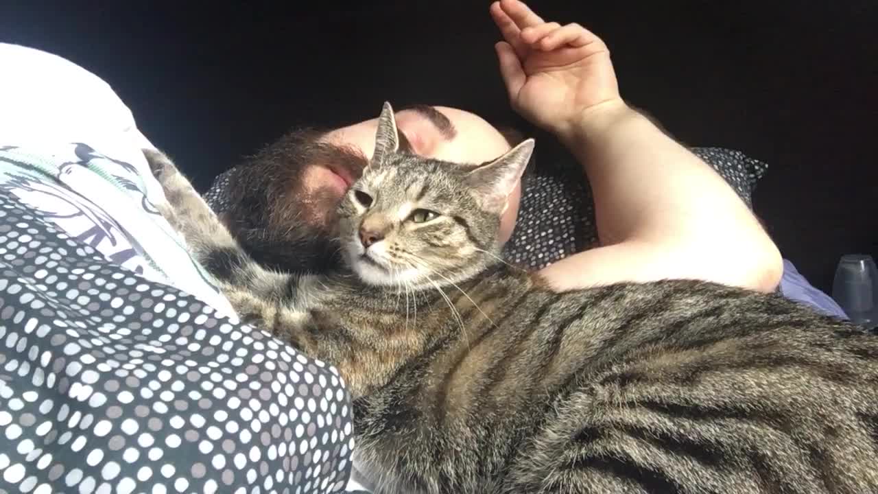 Loving cat gives owner morning kisses