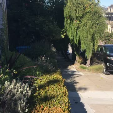 Jogging in the marina district