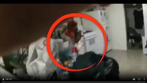 The Massey shooting evidence