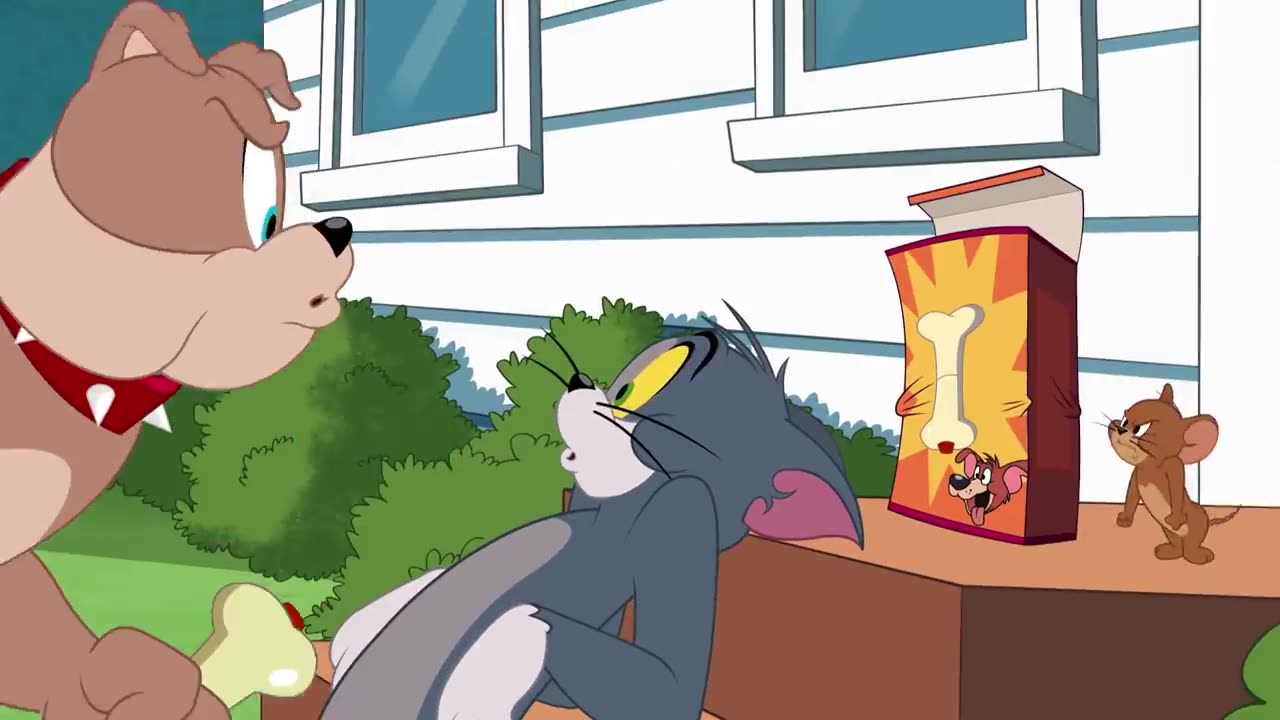 Tom and Jerry, spike and tom , boomerang