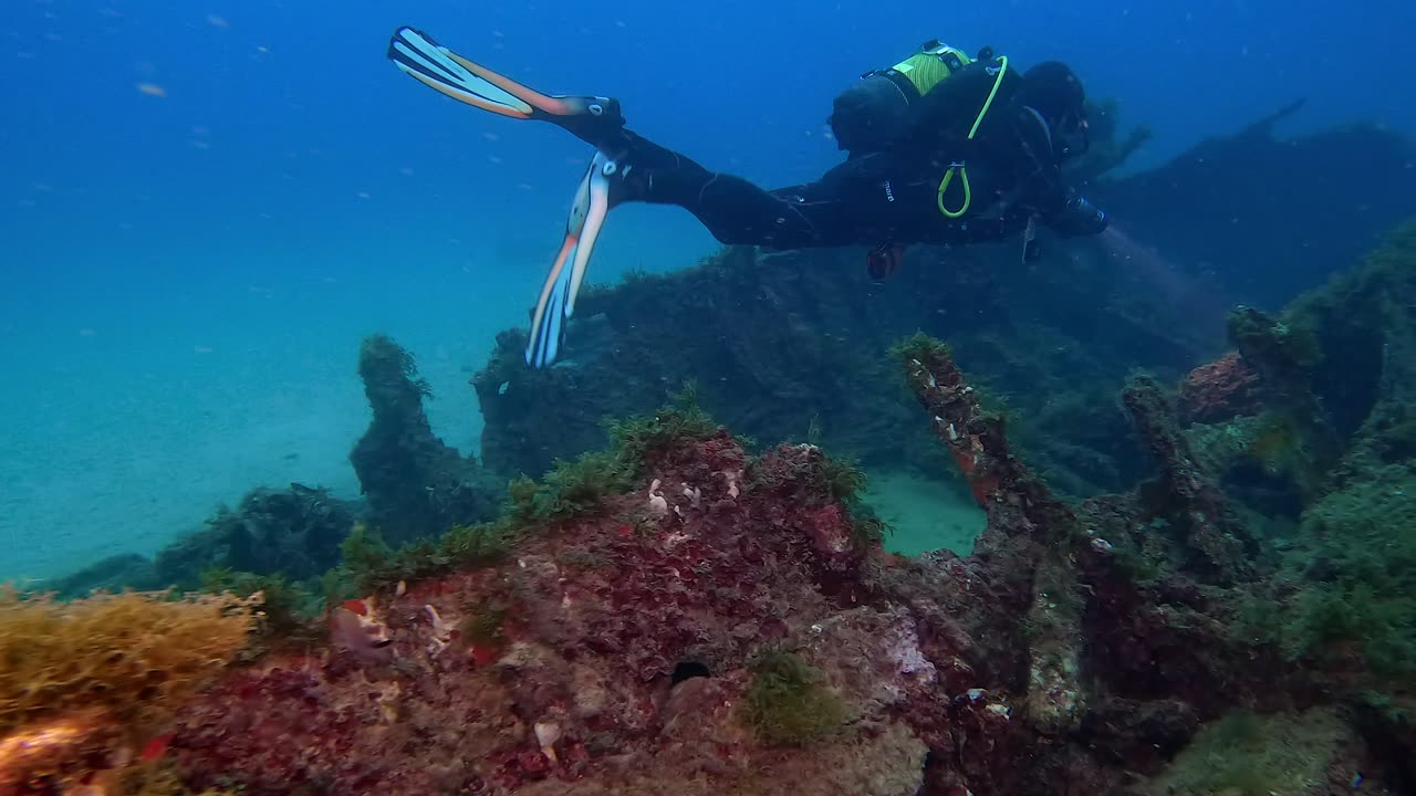 UNDERWATER VIEW