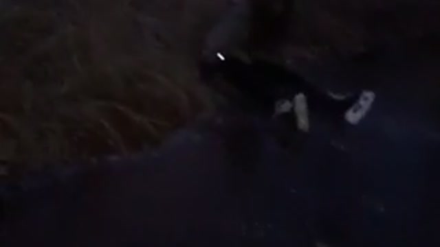 Girl in white ice skating falls down