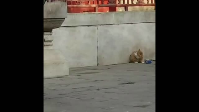 Lunch time