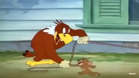 Non-stop Tom and Jerry Show _ KISS FREAK EAGLE OUT NOW