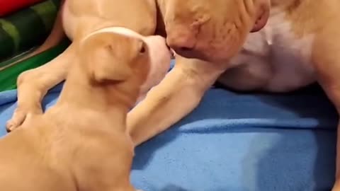Mother and son are so loving