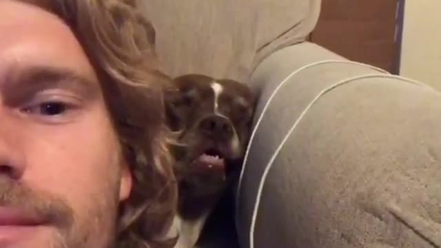 Blonde guy sits on floor with sleeping brown dog behind him