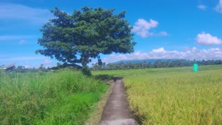 Pathway...