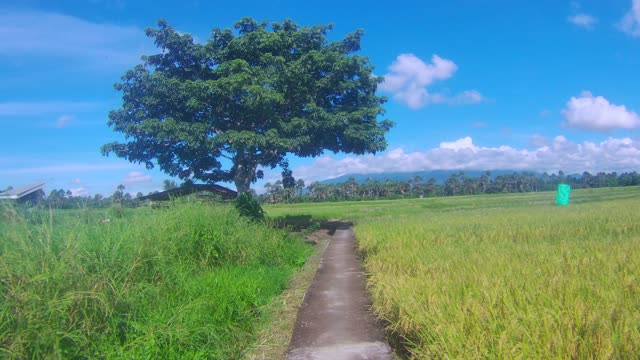 Pathway...