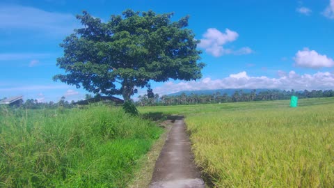 Pathway...