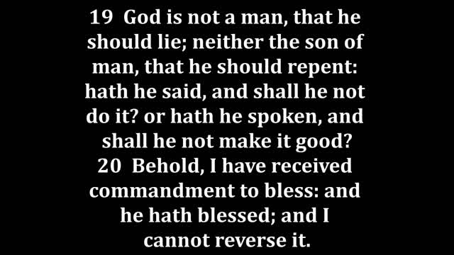 Numbers 23 King James version