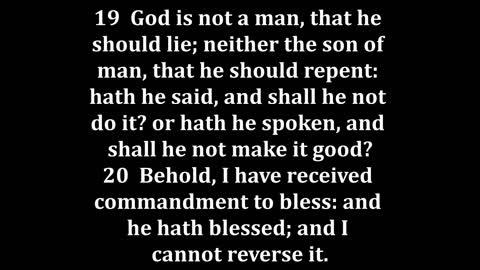 Numbers 23 King James version