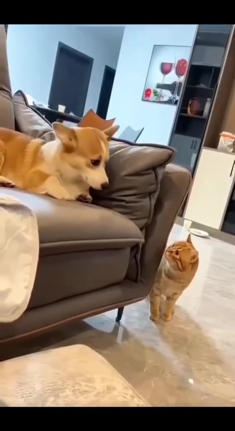 My mother-in-law is so...