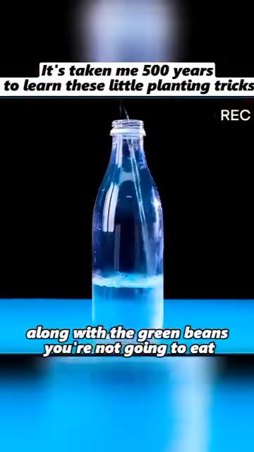 a few gardening tricks