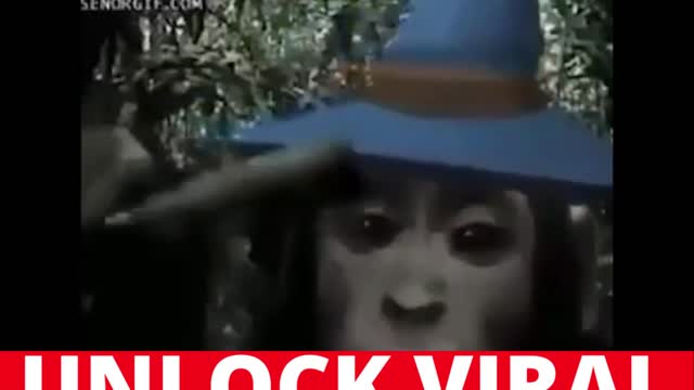 UNUSUAL MEMES COMPILATION #6