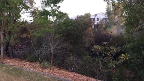 Australian Man Fights Fire With Garden Hose