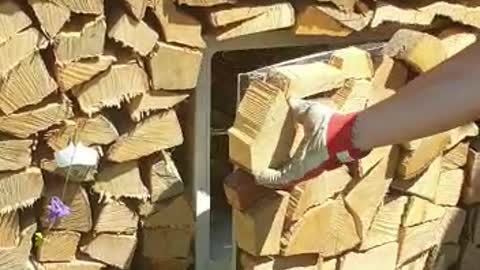 What every man needs