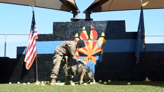 Military Working Dog handler and their K-9s throughout their Air Force careers