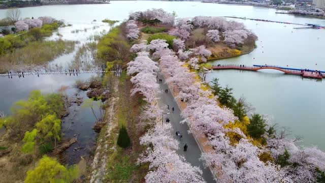 Llegó la primavera.