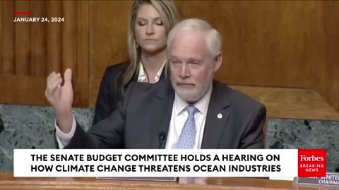 Ron Johnson- 'Does Anybody Really Think And China Are Going To Stop Burning Fossil Fuels-'