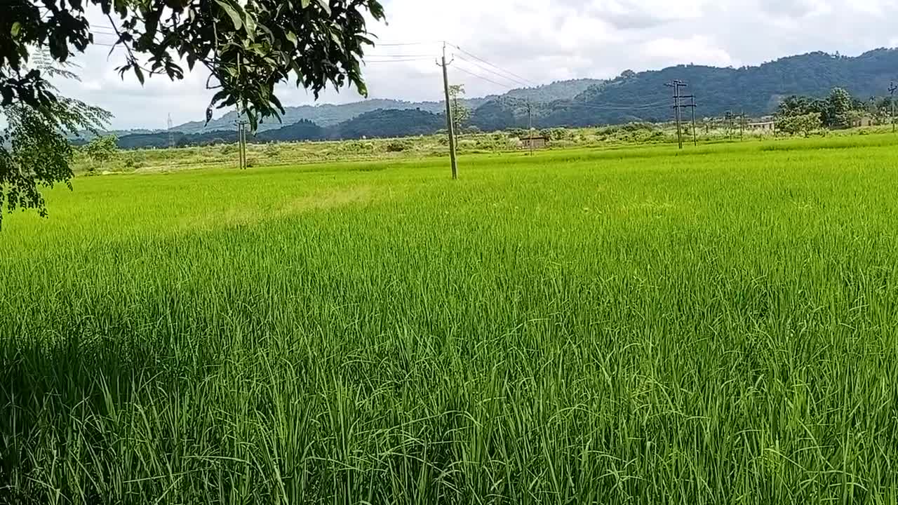 Beauty of Village