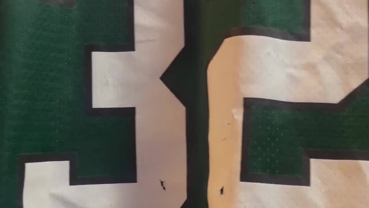 big_flex445 Instagram - "I’m so fucking pissed. My 1995 Ricky watters jersey is" (Jul 16, 2024)