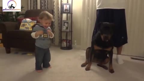 <3 Little Babies are Playing With Dogs <3