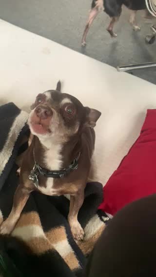 Trying to say I love you