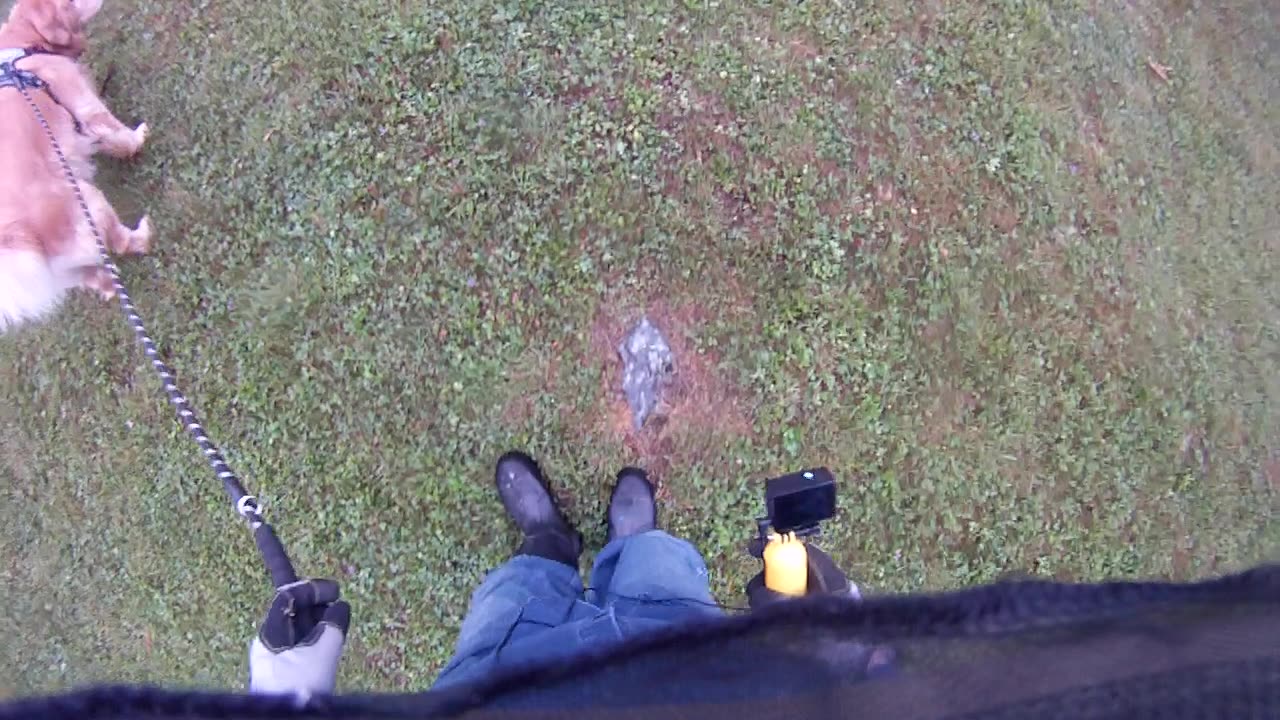 June 30th, 63º Flynn and I stick to the yard, the 6 acres we mow.