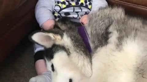 Baby and dog have a good time