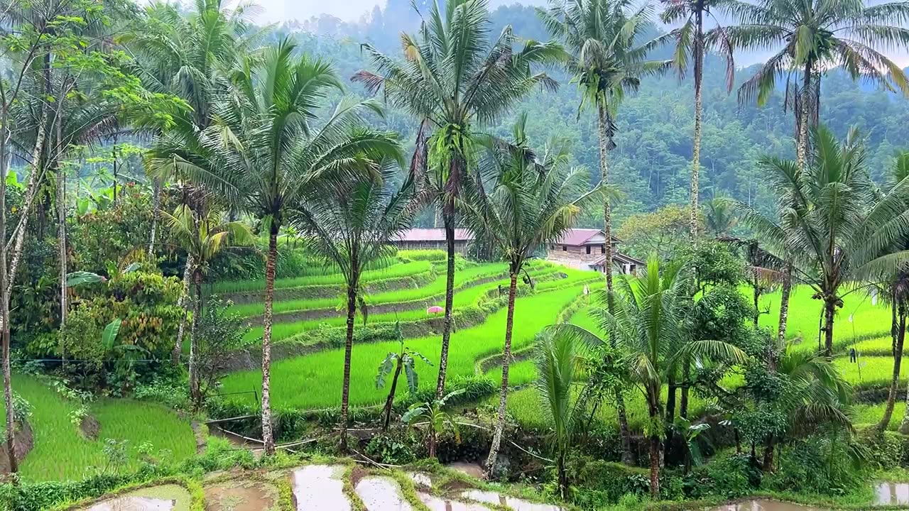 Rain in a beautiful high-altitude village__indonesian Village