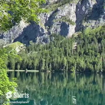 Captivating Beauty of Nature: Reflections in a Beautiful Lake Vol 156 #echoplanet