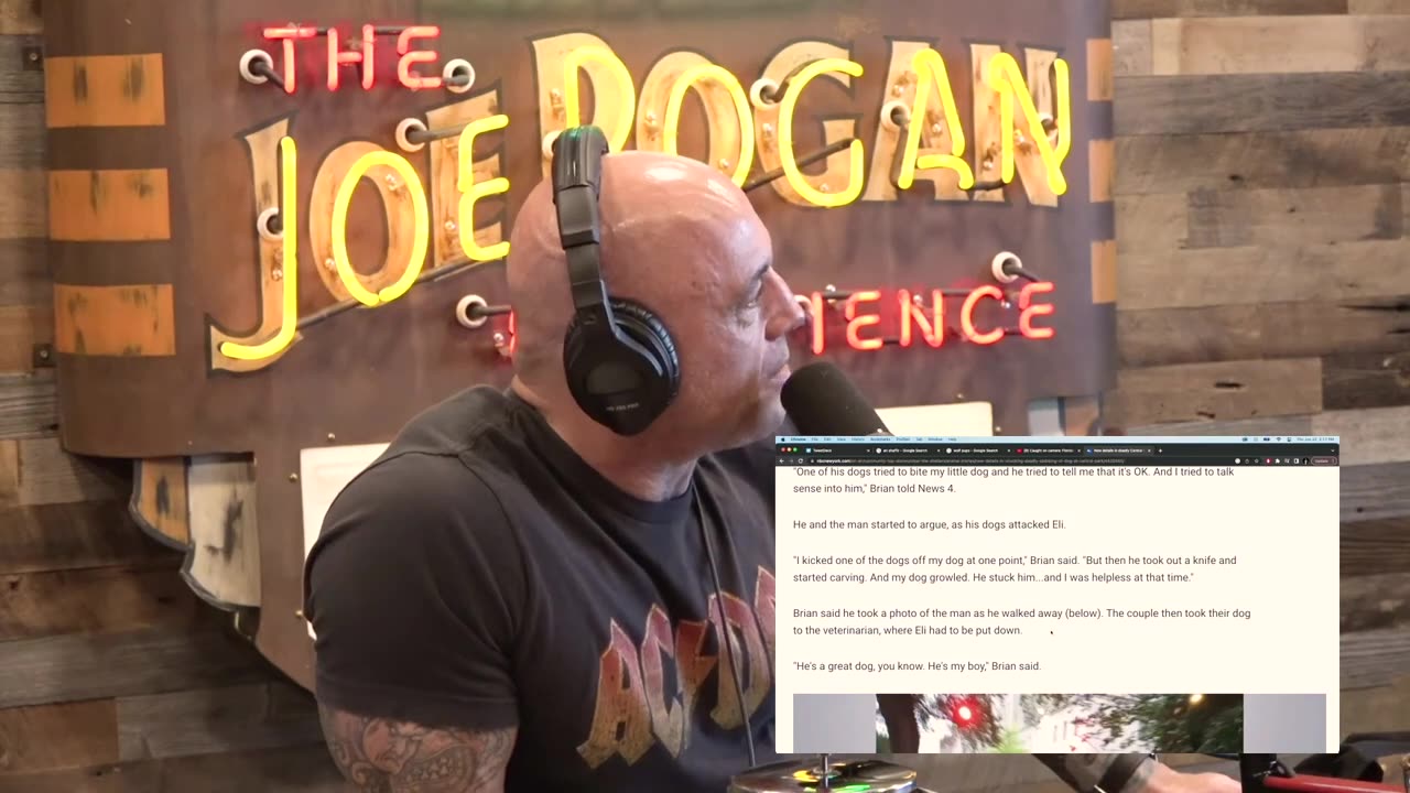 Why Do We LOVE Cute Animals Joe Rogan & Adrienne Iapalucci #jre