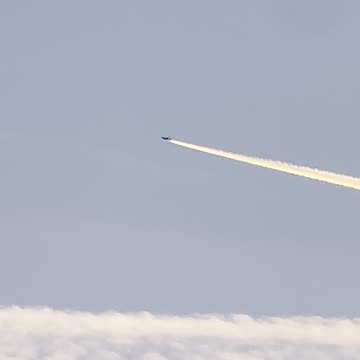 Tell me what this is