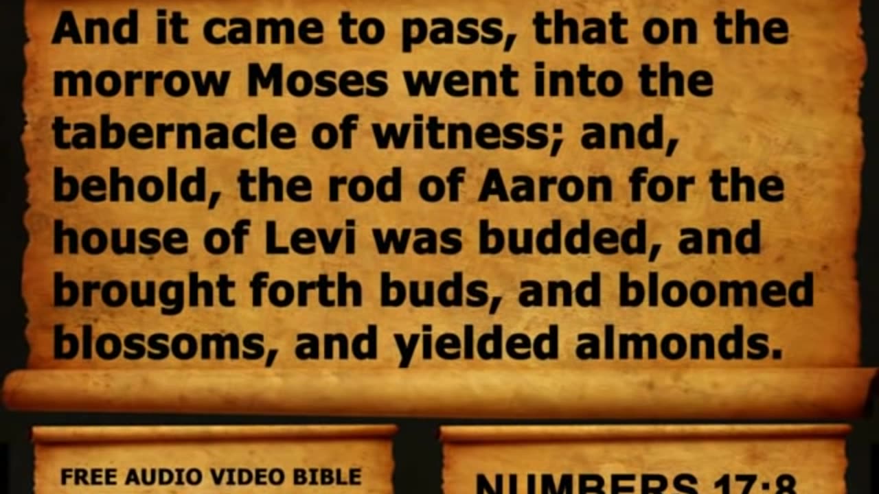 Bible Book 04. Numbers Complete 1-36, King James Version (KJV) Read Along Bible