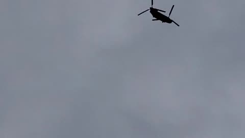 Water Moccasin in The Sky