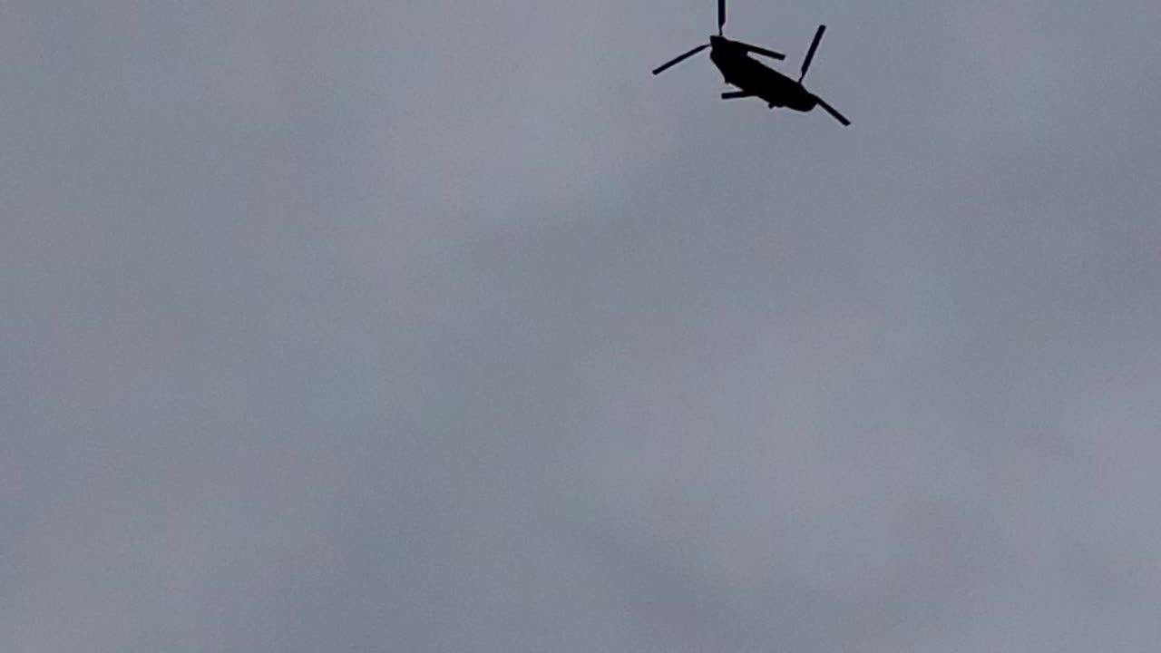 Water Moccasin in The Sky