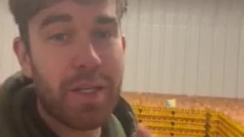 The Truth About Egg Shortages!! Listen!!