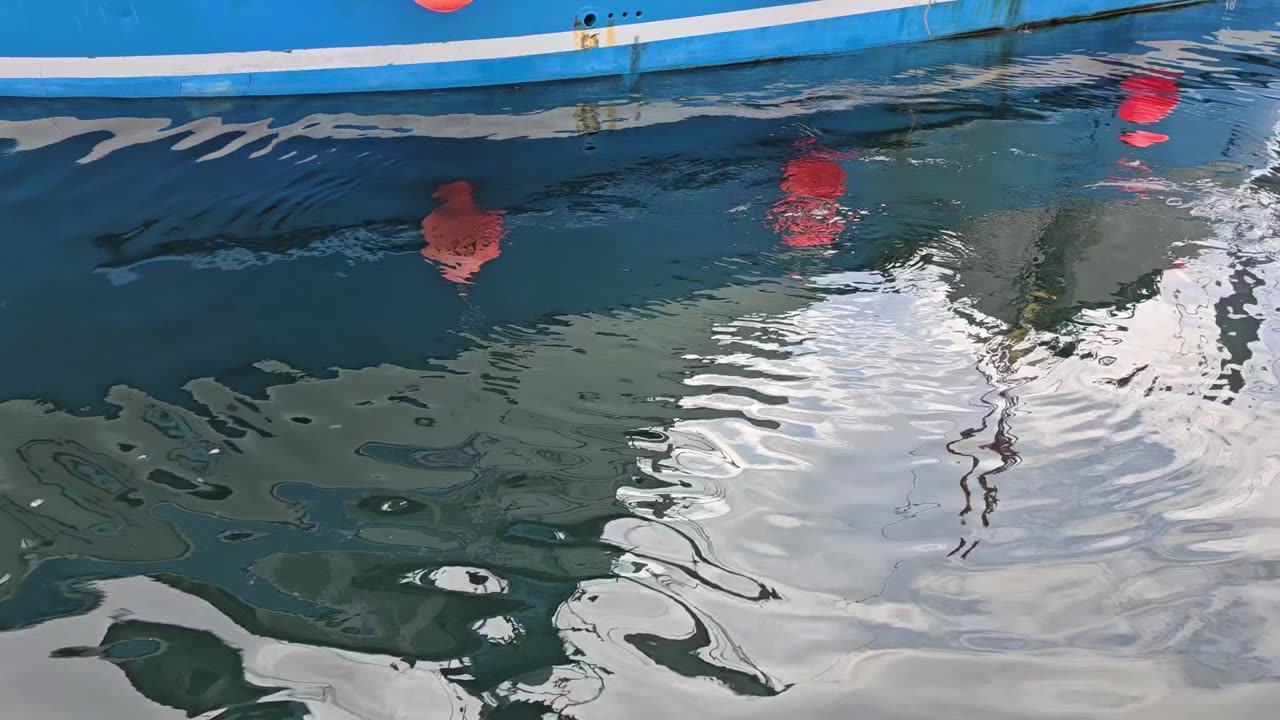Extremely cool sea lion. Looks more like a bear LOL