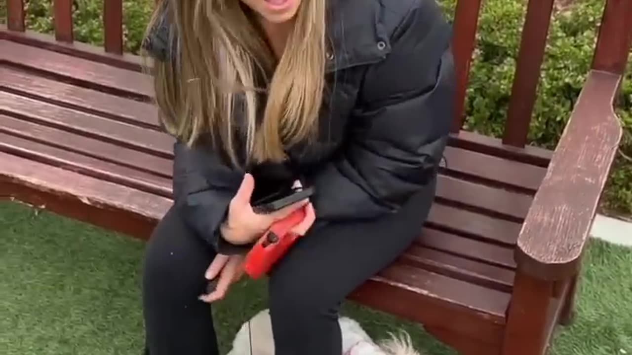 I’ve always wanted a dog, so this was the best...